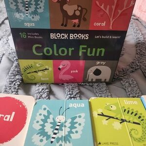 Block Books Color Fun Book Set